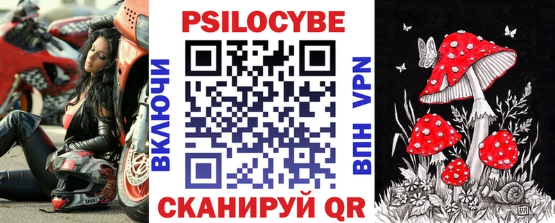 Псилоцибиновые грибы мицелий  Колпашево 