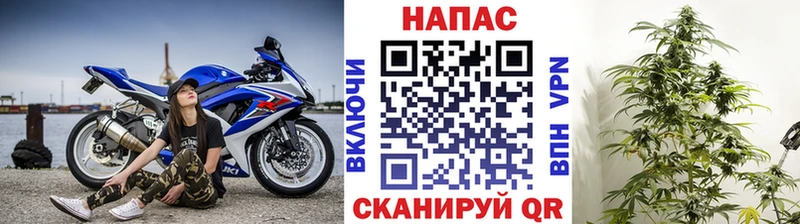 МАРИХУАНА ГИДРОПОН Колпашево